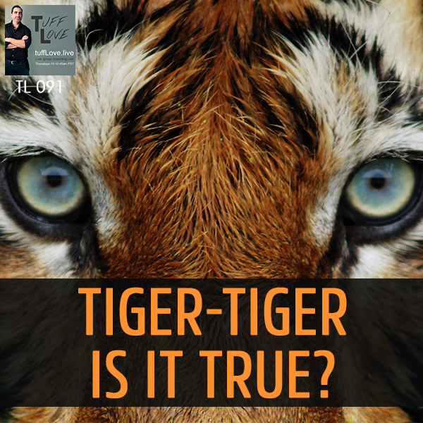 091: Tiger-Tiger is it true?